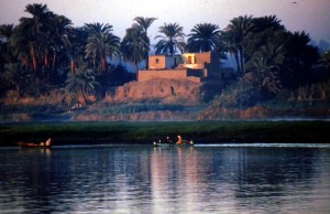 First morning light on Nile bank